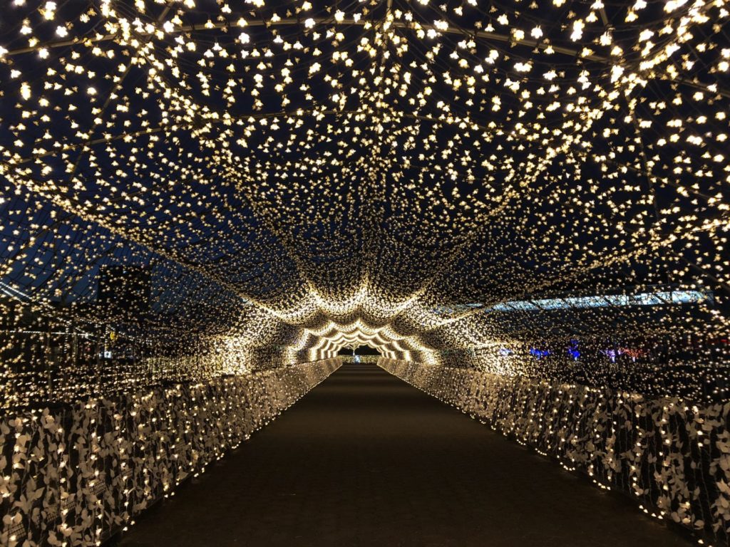 大井競馬場のイルミネーション、一番人気「江戸桜トンネル」の写真